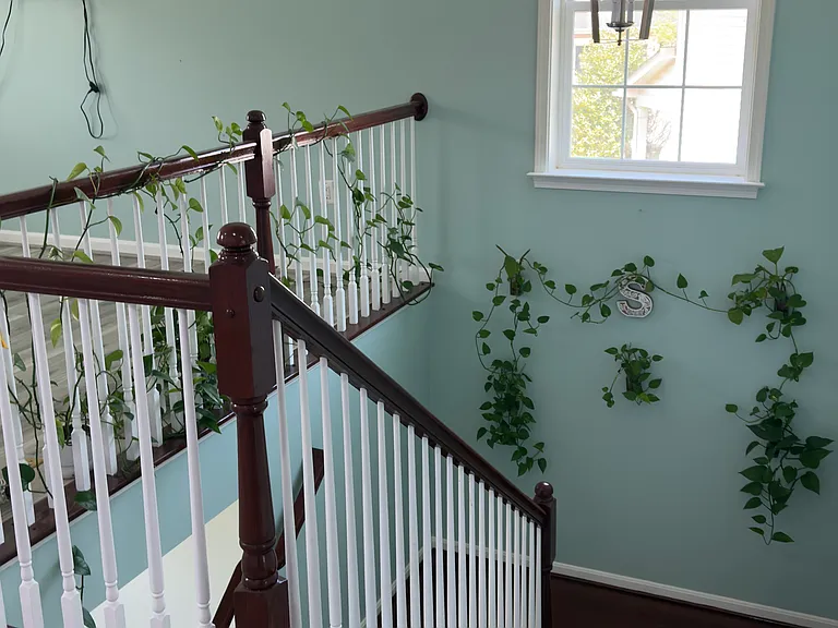 24854 Myers Glen Pl — Photo 17