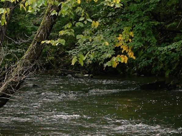 Lake Wapogasset Amery Real Estate 2 Homes For Sale Zillow