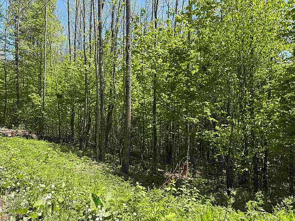 5th image of 0000 Bear Hill Road