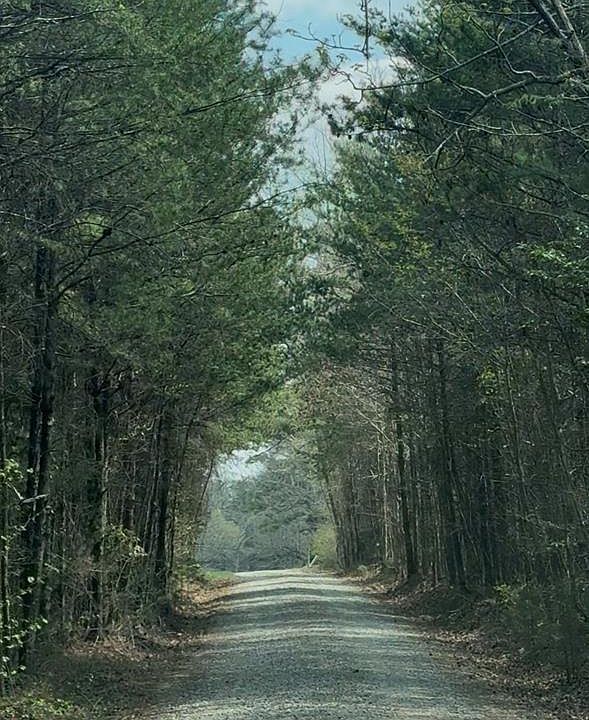1st image of 196AC Link Puryear Rd