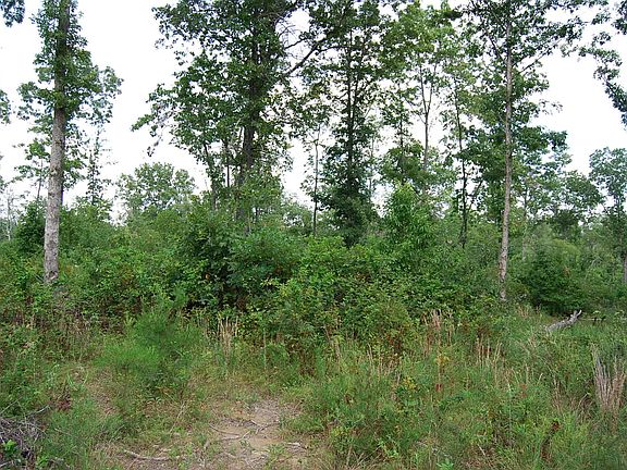 4th image of 5 Ac Old Hwy #111