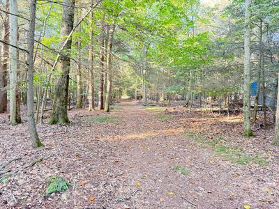 8367 W Stony Lake Rd, New Era, MI, 49446