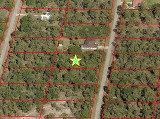 213 Fitch Ave, Lehigh Acres, FL 33936
