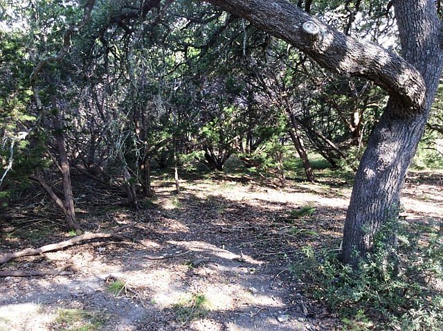 2nd image of 165 Onion Creek Ln