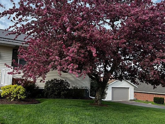 3rd image of 181 Miller St
