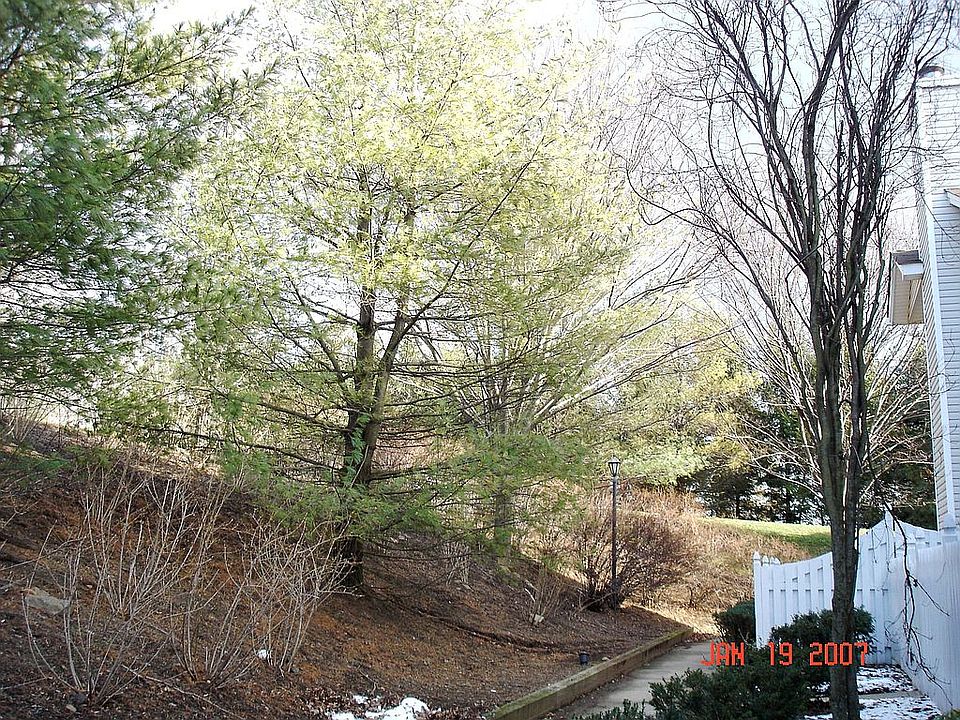 View From Patio (to the right)