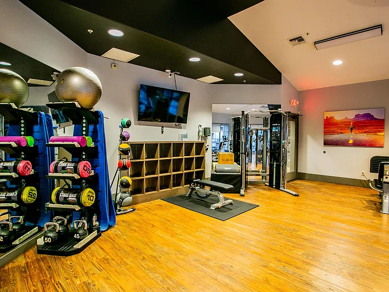 Free Weights