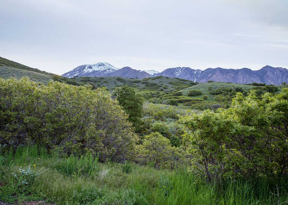 1st image of 15 E Three Falls Rdg