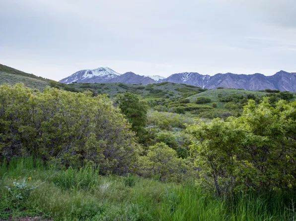 15 E Three Falls Rdg, Alpine, UT 84004