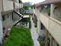 4th image of 3649 Louisiana St APT 207
