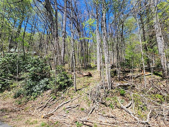 3rd image of Lot 13 Shady Bark Lane