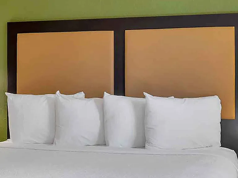 1 Bedroom Suite - 1 King Bed