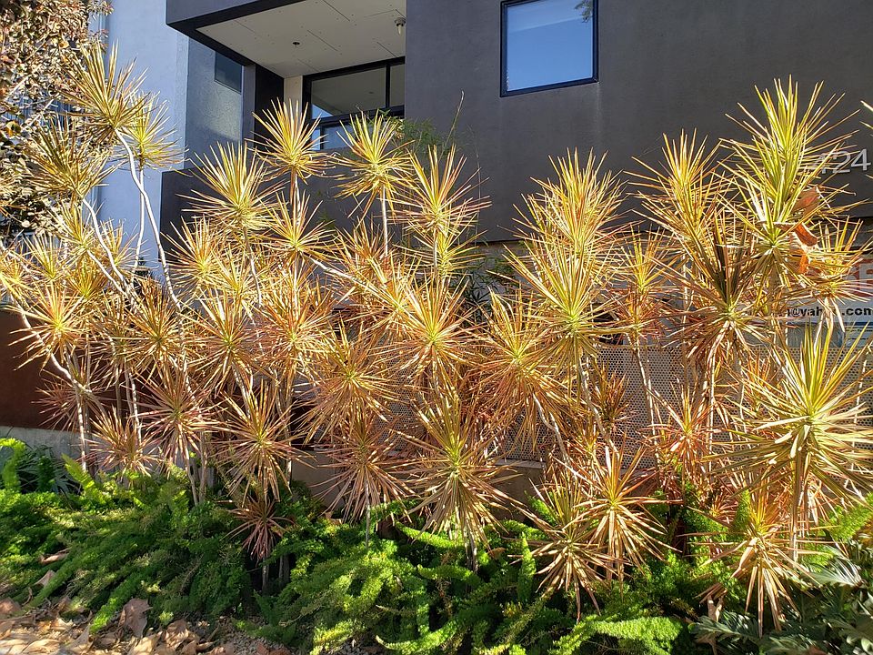 Venice Blvd. facing side, with entrance to office.