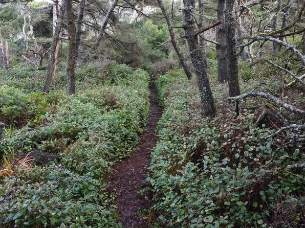 0 Perpetua St, Florence, OR 97439