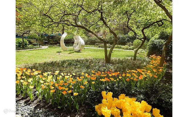 Sold by Douglas Elliman | media 27