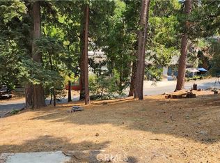 2459 Spring Dr #6, Running Springs, CA 92382