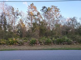 1321 Buckles Rd, Pierson, FL 32180