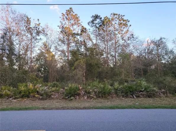 1321 Buckles Rd, Pierson, FL 32180