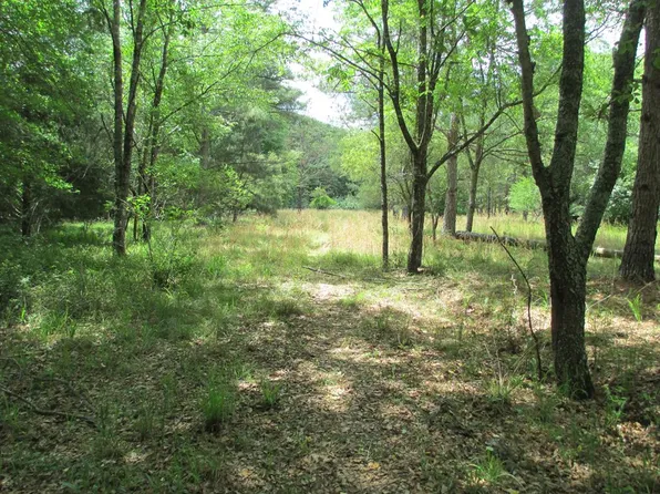 559 Us Highway 19 N, Americus, GA 31719