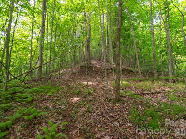 Board Tree Rd #2, Marshall, NC 28753