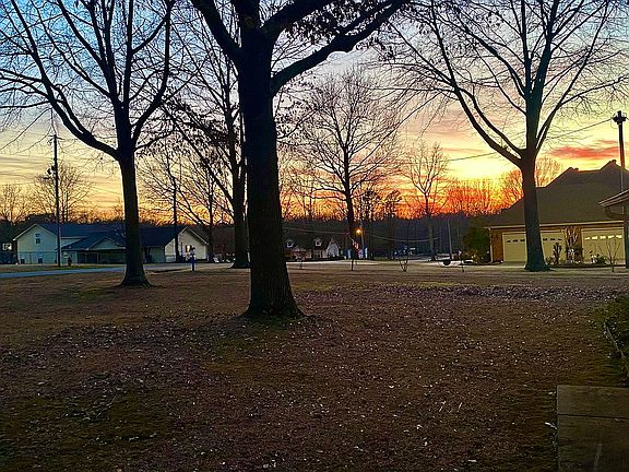 Right side - Front Yard 