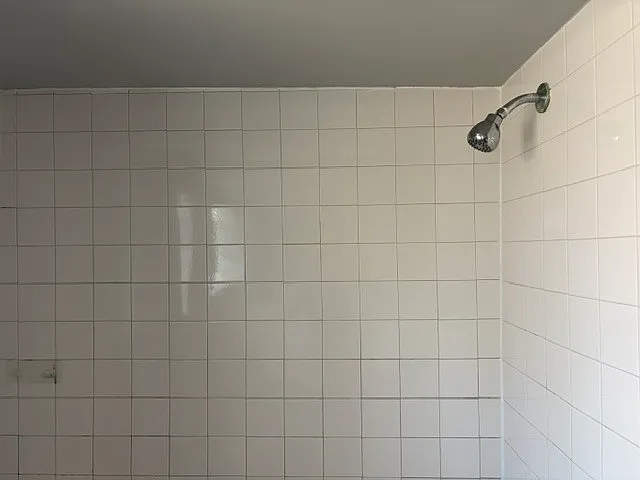 7323 W Higgins Ave #2 — Photo 13