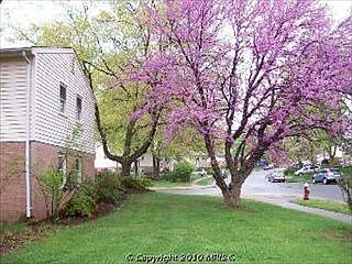 2nd image of 4218 Newport Dr