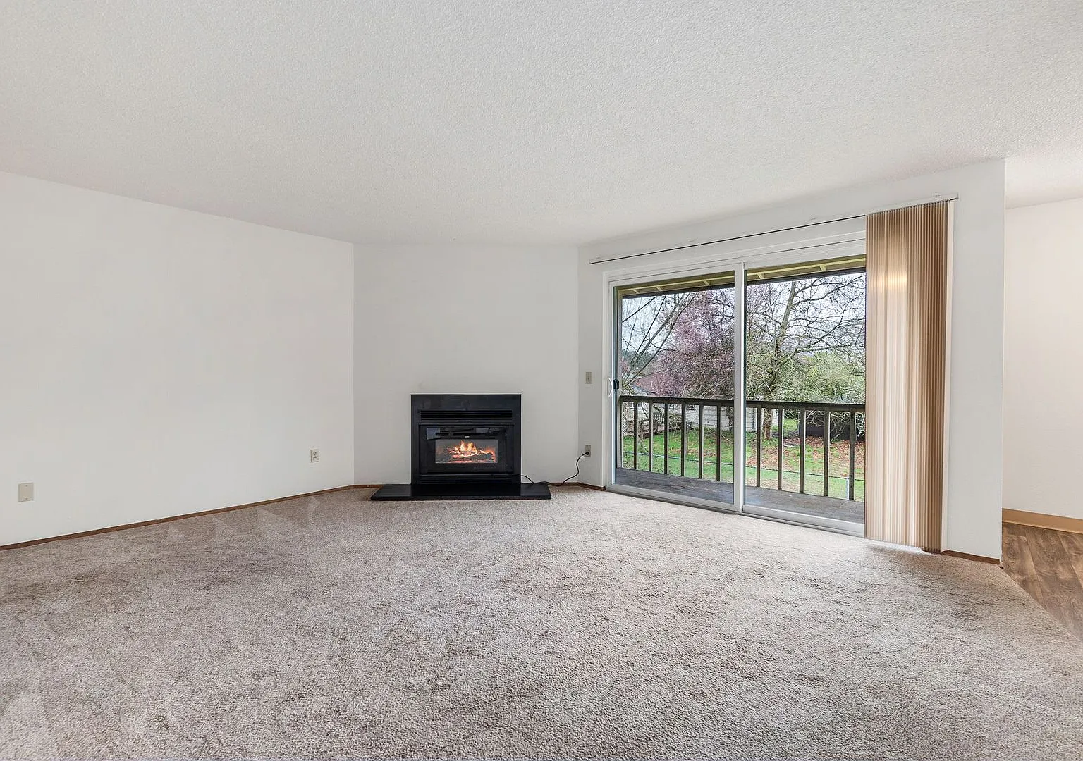 Cozy 2 Bedroom, 1 Bath Apartment in Lacey — Photo 2