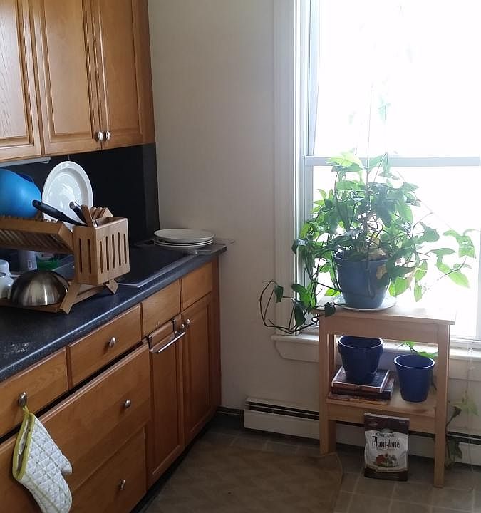 1st image of 60 Walden St #101