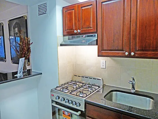 Rented by Luxian International Realty LLC | media 37