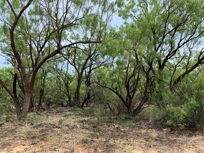 County Road 496, Merkel, TX, 79536