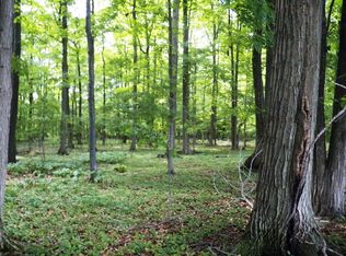 Hutchinson Rd, North Branch, MI 48461