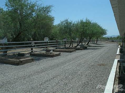 Perfectly Manicured Yards
