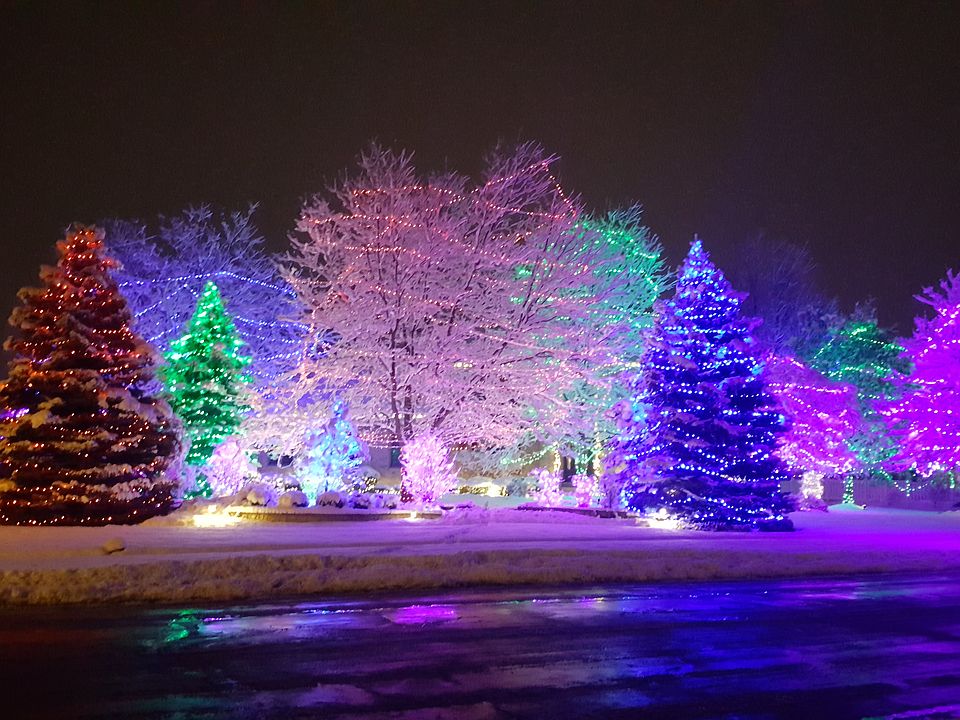 Our Christmas lights