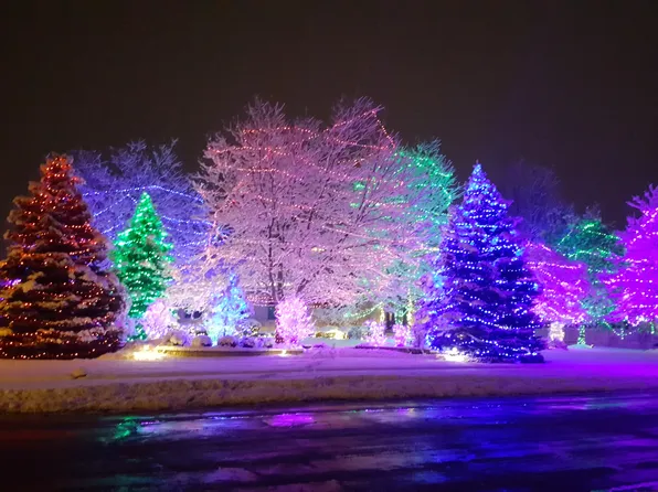 24455 W Royal County Down Dr, Naperville, IL 60564