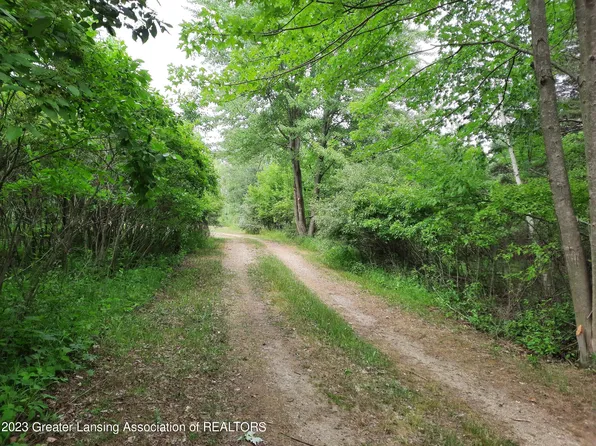 0 W Maple Rapids Rd, Saint Johns, MI 48879