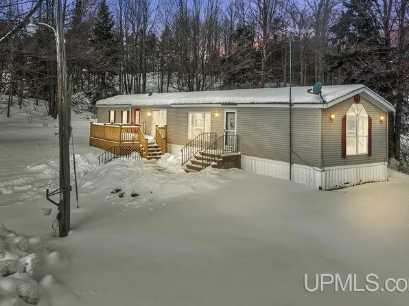 N16246 Co Rd #557, Wilson, MI 49896