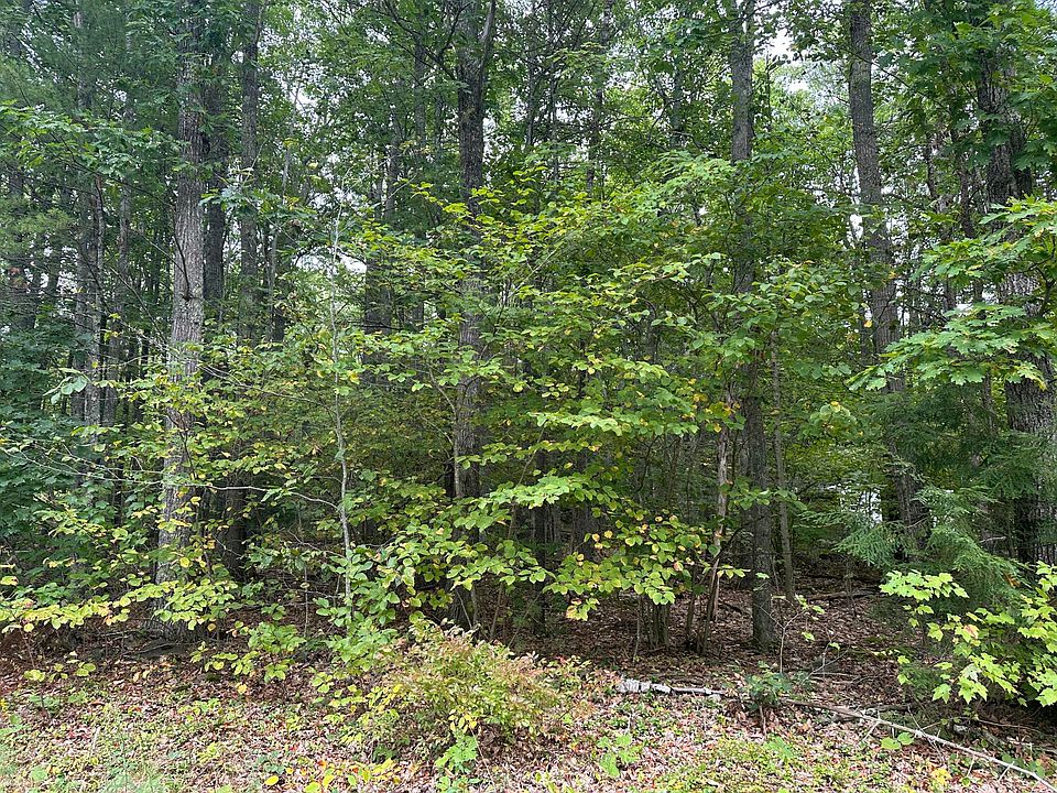 2nd image of L23-1 Buzzell Hill Road