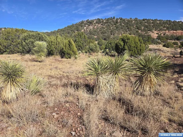 20 Dewey Rd, Silver City, NM 88061