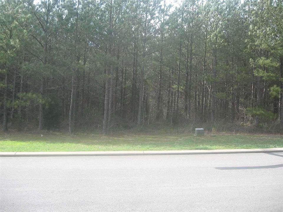 2nd image of 204 Mountain View Cir