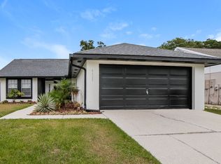 7127 Hollowell Dr, Tampa, FL 33634