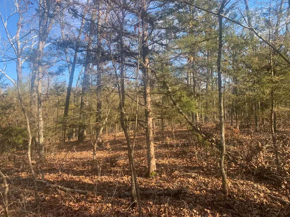 000 Jackson Hollow Rd, Gainesville, MO 65655