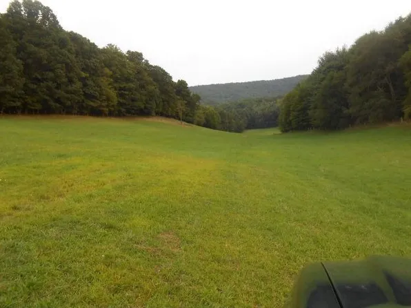 971 Dry Rd, Speedwell, VA 24374