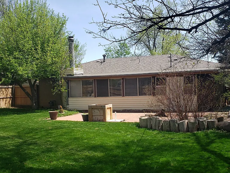 Back yard