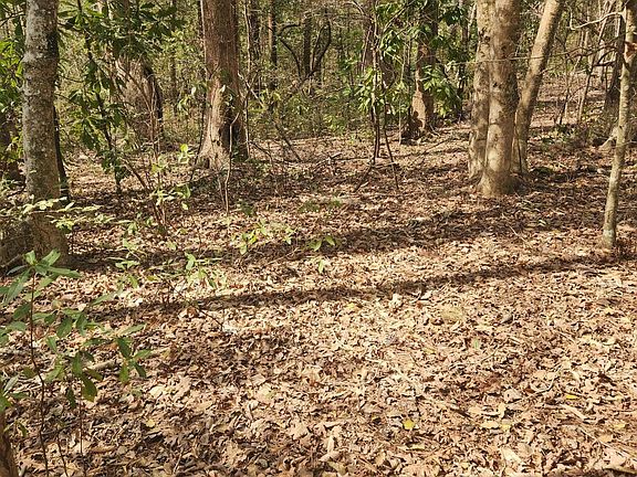 3rd image of Lot 27 Peed Road