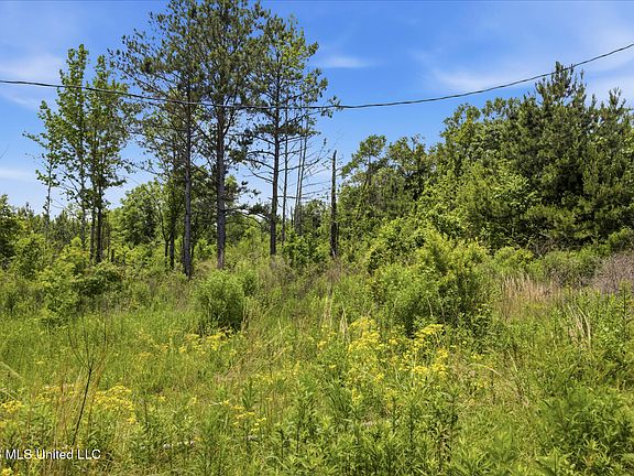 4th image of 2705 Pilgrim Rest Rd