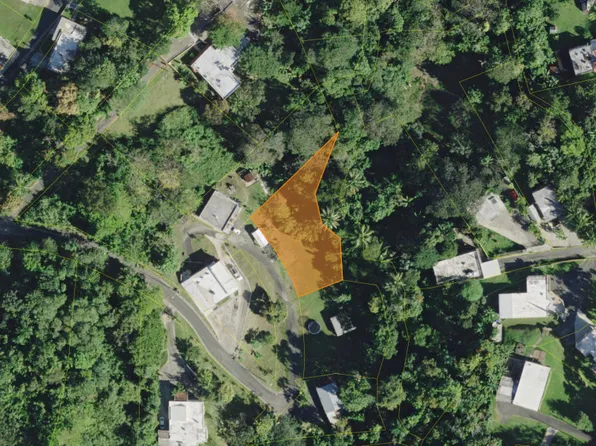 Bo Cerro Gordo Carr #830, Bayamon, PR 00956