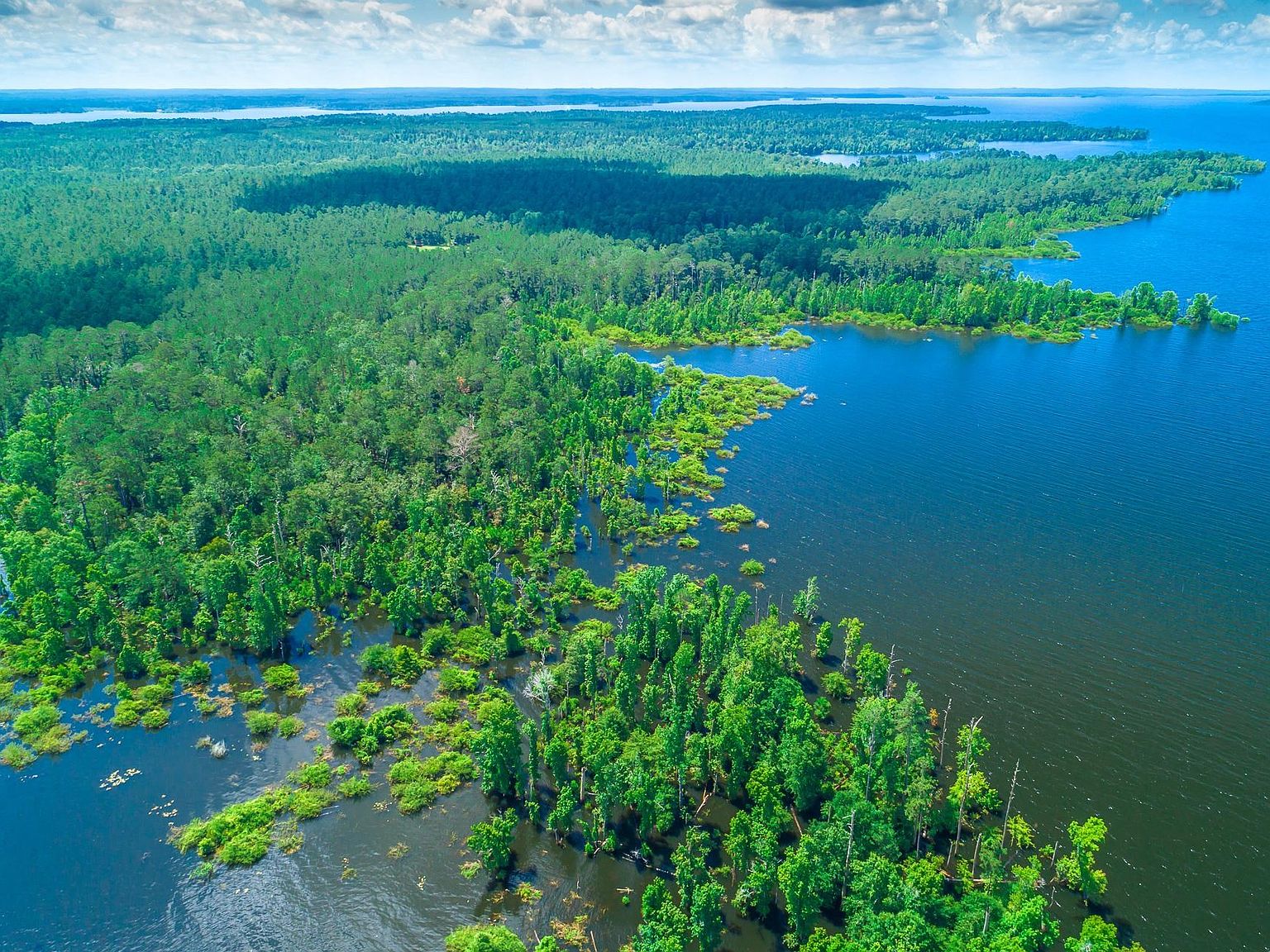 3000 County Divide Rd, Pineland, TX 75968 Zillow