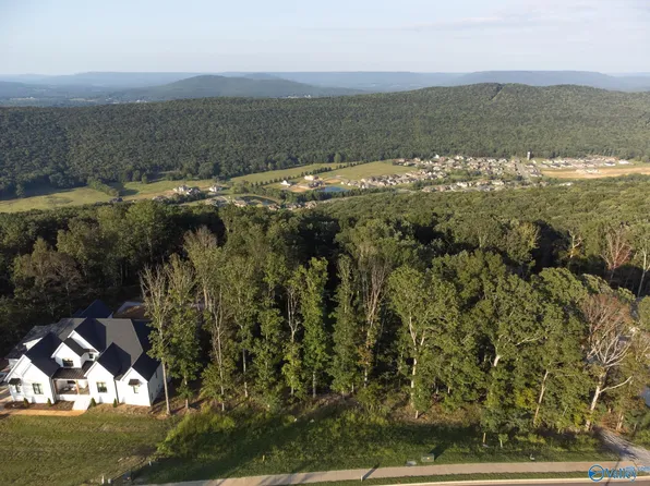 32 Watson Grande Way SE, Brownsboro, AL 35741