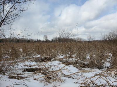 Clouse Rd, Glennie, MI, 48737